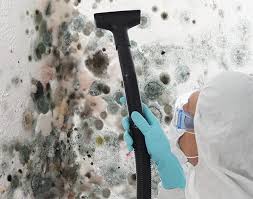 Professional Mold Inspection in Mission, KS